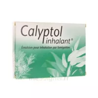 Calyptol Inhalant, émulsion Pour Inhalation Par Fumigation à Chalon-sur-Saône